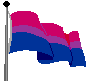 waving bisexual flag